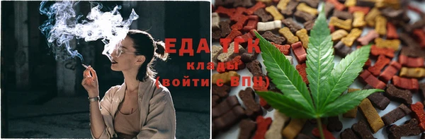 шишки Медвежьегорск