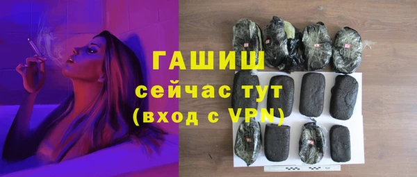 шишки Медвежьегорск