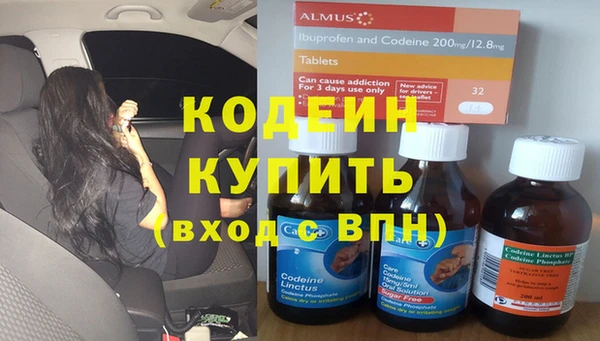 шишки Медвежьегорск