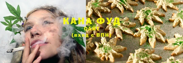 шишки Медвежьегорск