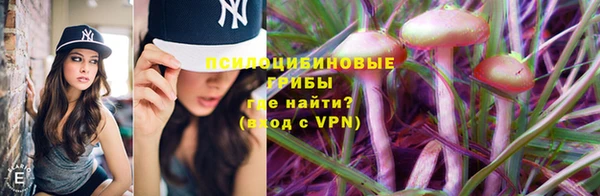 герыч Медногорск