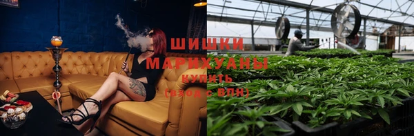 шишки Медвежьегорск