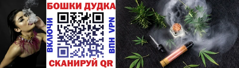 Бошки Шишки ГИДРОПОН  Пудож 